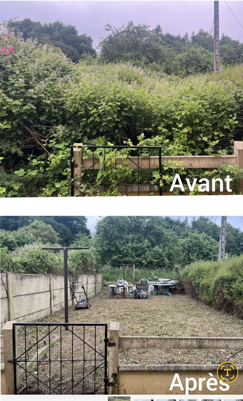 Débroussaillage sur terrain